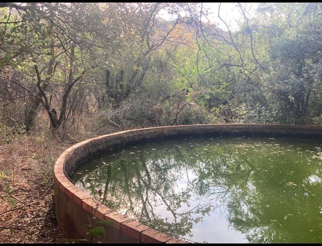 81HA FARM FOR SALE IN RIETVLY AH